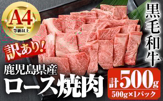 鹿児島県産A4等級以上黒毛和牛・ロース不揃い切り落とし焼肉 計500g(500g×1パック) 鹿児島県産 黒毛和牛 切り落とし【ビーフ倉薗】A521鹿児島県曽於市18500肉牛肉