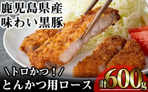 かごしま味わい黒豚 とんかつ用ロース【トロかつ】 (計600g・200g×3枚) 鹿児島県産 豚肉 黒豚 【KNOT】 A558鹿児島県曽於市13000肉豚肉