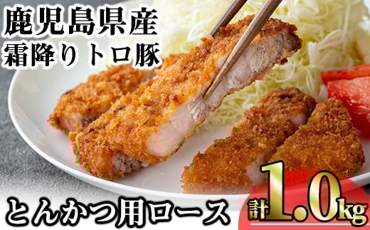 鹿児島県産霜降りトロ豚 とんかつ用ロース (計1kg・200g×5枚) 鹿児島県産 豚肉 霜降り 【KNOT】 A571鹿児島県曽於市17000肉豚肉