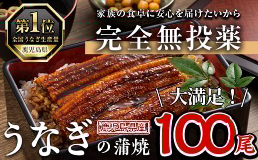 鹿児島県産うなぎ蒲焼 (1尾あたり136g〜155g×100尾、タレ・山椒付き) 鰻 ウナギ うな重 ひつまぶし かばやき 九州産 国産 冷凍【西日本養鰻】P5鹿児島県曽於市700000魚介・海産物うなぎ