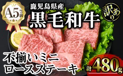 y󂠂zYA5јas[X~jXe[L (v480g) јa [XXe[L ⓀyKNOTz A641]s20000