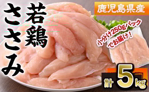 鹿児島県産若鶏ささみ(計5kg・250g×20P) 若鶏 ささみ 冷凍【株式会社羽根】A577-v01鹿児島県曽於市16000肉鶏肉