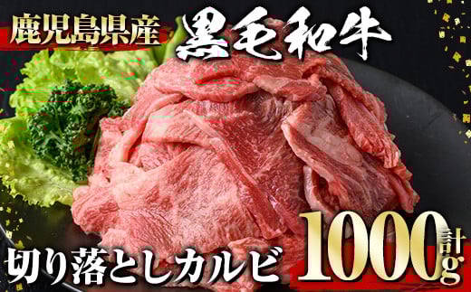 јa ؂藎ƂJr(1000g) јa ؂藎Ƃ Jr y1129zA538]s20000
