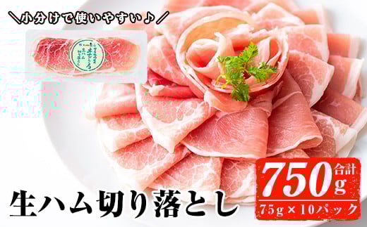 2025N12ɔ\聄Yؐn؂藎Ƃ75g×10P(v750g) n ܂  yi`NzA302-12-v01]s11000ZbgE؁EHHi