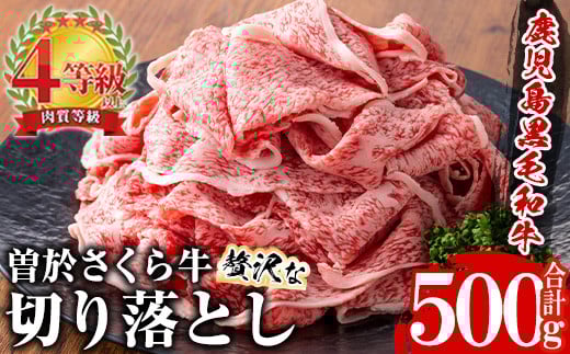 曽於さくら牛 贅沢な切り落とし(合計500g) 黒毛和牛 切り落とし 冷凍【福永産業】A660鹿児島県曽於市15000肉牛肉