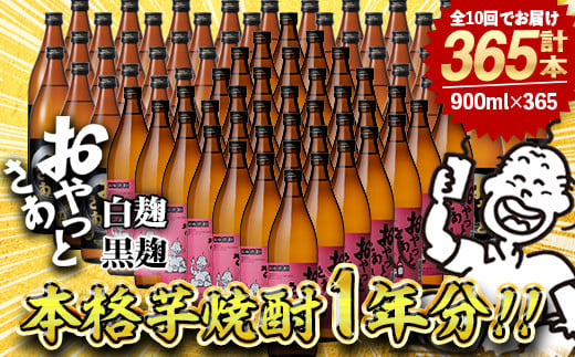≪本格芋焼酎1年分!≫おやっとさあ365本セット!(全10回 / おやとさあ900ml×120本・おやっとさあ黒900ml×245本) 芋焼酎 さつま芋 定期便【岩川醸造】T45鹿児島県曽於市1000000酒・アルコール焼酎