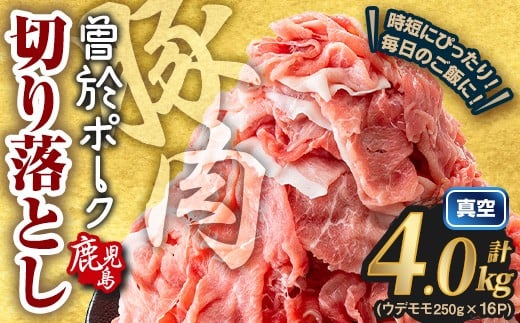 2025N11ɔ\聄]sY ]|[N؂藎Ƃ v4.0kg(Ef؂藎Ƃ) ^pbN ؓ ؂藎ƂyRanazA812-11]s20000ؓ