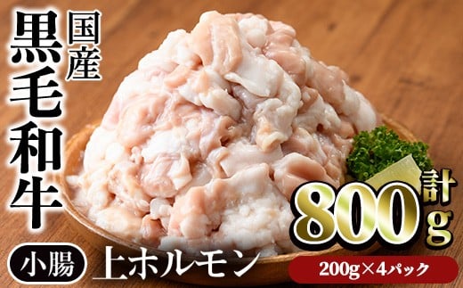 【鮮度抜群!】国産黒毛和牛小腸(上ホルモン計800g) ホルモン 焼肉 黒毛和牛【カミチク】A827鹿児島県曽於市9000肉牛肉