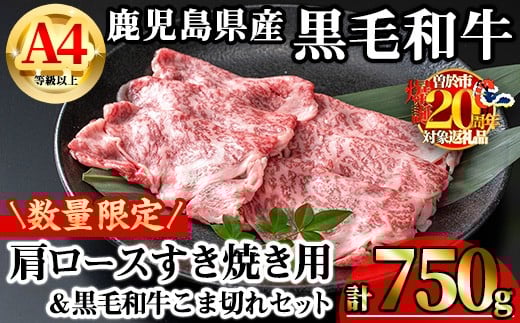 yʌzYјaA4ȏ㌨[XĂp (v750g{јaܐ؂250g×1P) Y  Ⓚ yKNOTz A809-v01]s27000