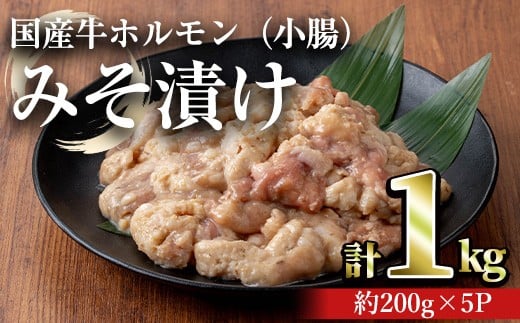 国産牛ホルモン(小腸)みそ漬け(計1kg・約200g×5パック)牛肉ホルモンみそ漬け【おきどき】A817-v01鹿児島県曽於市12000肉牛肉