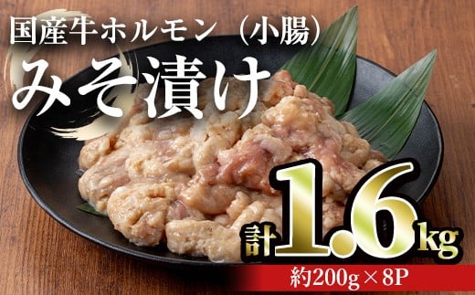 国産牛ホルモン(小腸)みそ漬け(計1.6kg・約200g×8パック)牛肉ホルモンみそ漬け【おきどき】A886鹿児島県曽於市15000肉牛肉