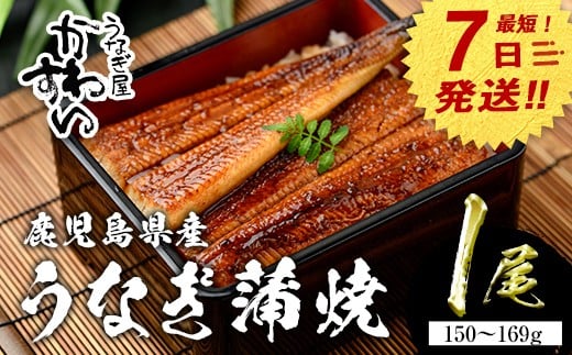 【7営業日以内に発送!】<うなぎ屋かわすい>鹿児島県産 国産うなぎ蒲焼 (1本・150〜169g) タレ入り 鰻 うな重 かばやき【川口水産】A853鹿児島県曽於市8000魚介・海産物うなぎ