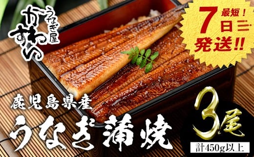 【7営業日以内に発送!】<うなぎ屋かわすい>鹿児島県産 国産うなぎ蒲焼 (計450g以上 / 1本あたり150〜169g×3本) タレ入り 鰻 うな重 かばやき【川口水産】A855鹿児島県曽於市18000魚介・海産物