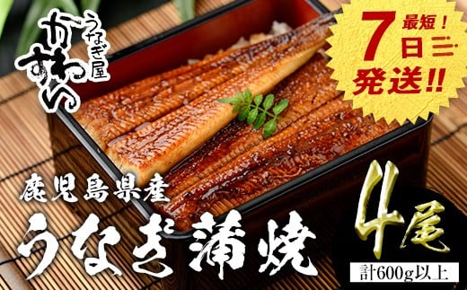 【7営業日以内に発送!】<うなぎ屋かわすい>鹿児島県産 国産うなぎ蒲焼 (計600g以上 / 1本あたり150〜169g×4本) タレ入り 鰻 うな重 かばやき【川口水産】A856鹿児島県曽於市23000魚介・海産物