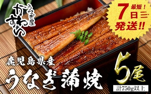 【7営業日以内に発送!】<うなぎ屋かわすい>鹿児島県産 国産うなぎ蒲焼 (計750g以上 / 1本あたり150〜169g×5本) タレ入り 鰻 うな重 かばやき【川口水産】A857鹿児島県曽於市29000魚介・海産物