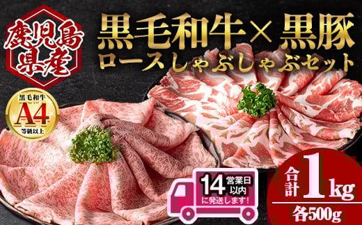 <14営業日以内発送!>鹿児島県産黒毛和牛ロース×黒豚肩ロースしゃぶしゃぶセット (合計1kg・各500g) 国産 牛肉 豚肉【肉のちょーさん】A949鹿児島県曽於市25000肉豚肉