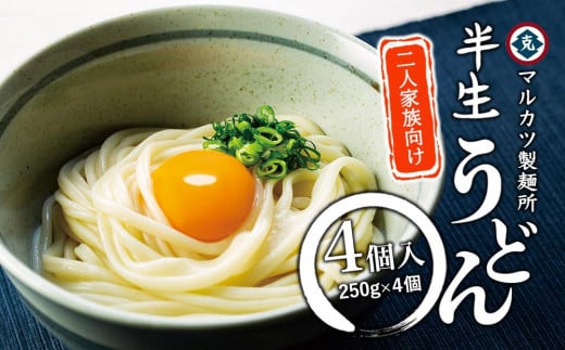 半生うどん 250g×4個 2人家族向け香川県小豆島町8000麺うどん