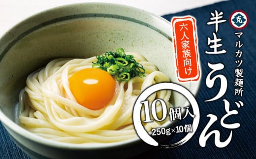 半生うどん 250g×10個 6人家族向け香川県小豆島町18000麺うどん