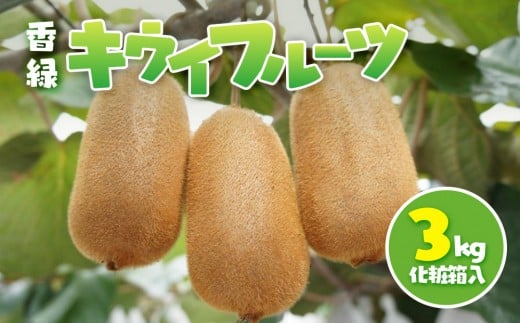 香緑 キウイフルーツ 3kg(化粧箱)香川県小豆島町15000果物・フルーツみかん・柑橘類