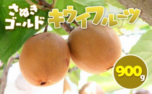 さぬきゴールド キウイフルーツ 900g香川県小豆島町11000果物・フルーツみかん・柑橘類