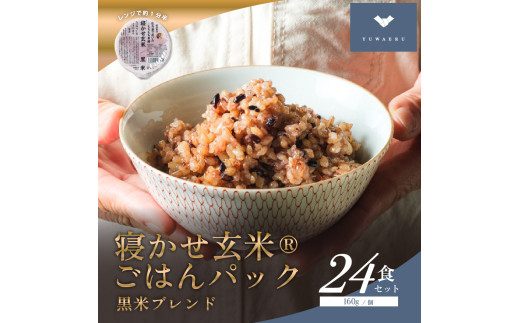 QĂ͂pbN ăuh 160g×24Hb 퉷ۑ pbN ~ l炵 gg  [1611]錧~s26000āEpāEGāEāE