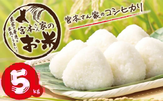 V yߘa7NYz錧~sY {{Ƃ̂Ђ 5kg×1܁b  RVqJ  _ƒ  錧 [1651]錧~s20000āEp