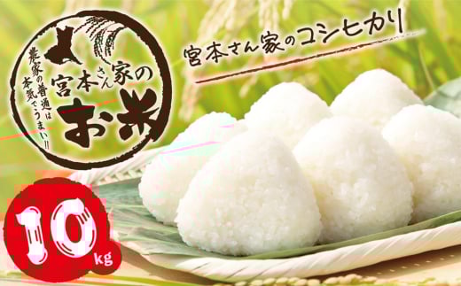 V yߘa7NYz錧~sY {{Ƃ̂Ђ 10kg(5kg×2)b  RVqJ  _ƒ  錧 [1652]錧~s41000āEp