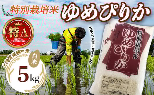 kCY ʍ͔| ߂҂肩  5kg ߘa7NY 2025N10Jn  y NP1-242kCy16000āEp