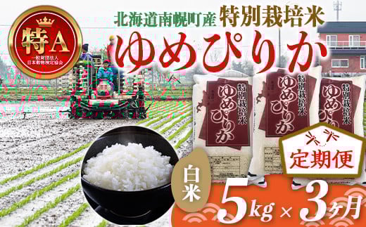 s3JցtkCY ʍ͔| ߂҂肩 ߘa7NY 5kg×3J  kC  y NP1-257kCy45000āEp