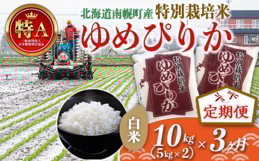 s3JցtkCY ʍ͔| ߂҂肩 ߘa7NY 5kg×2×3J   kC y NP1-410kCy81000āEp