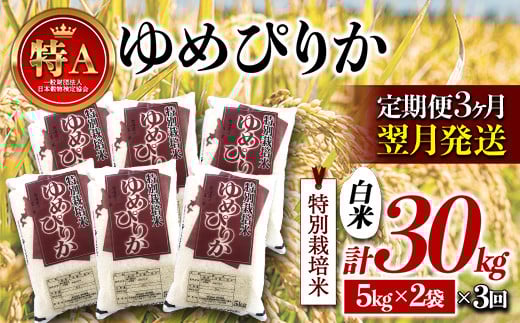 s3JցtkCY ʍ͔| ߂҂肩 ߘa7NY 10kg Jn  y A  NP1-411kCy81000āEp