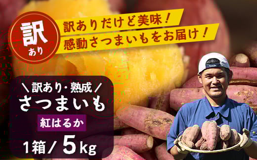【訳あり】【先行予約・2025年11月下旬より順次発送】鹿児島県産 熟成 紅はるか 5kg (1箱 ) Sサイズ (おすそ分け袋/美味しい焼き芋の焼き方 説明書付き) AX72217 | さつまいも サツマイモ 焼き