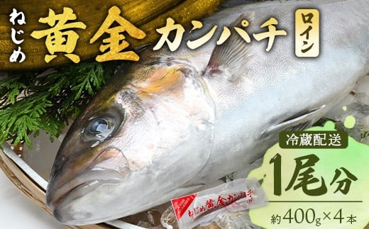 yzw\z ˂߉Jp` C 1i400g×4{j① JF-502 |   {B   g܂ ς t hg i Ԃ ՂՂH 