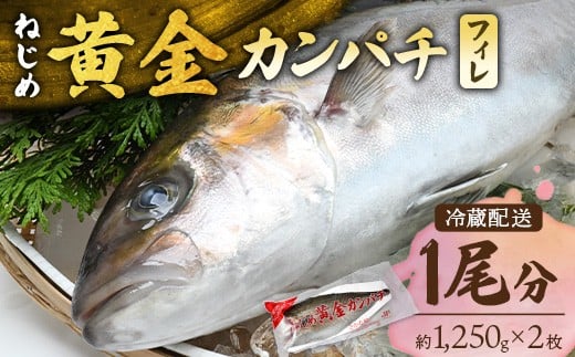 【配送日指定可能】鹿児島 ねじめ黄金カンパチ フィレ 1尾(約1,250g×2枚)冷蔵便 JF-506| 魚 直送 養殖 根占 さかな 身が引き締まった かんぱち 漁師 刺身 寿司 しゃぶしゃぶ ぷりぷり食感 鹿