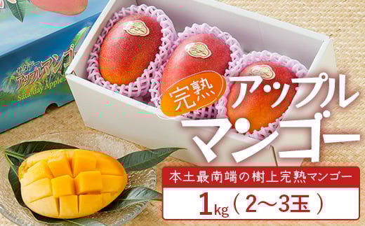 ≪先行予約・数量限定≫☆本土最南端☆佐多の果樹園で育てた 完熟アップルマンゴー 1kg (2〜3玉) 【2026年7月上旬以降順次発送】 V7407 |鹿児島県 南大隅 産地直送 旬 マンゴー フルーツ 果物