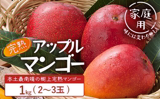 ≪先行予約・数量限定≫【訳あり】 ☆本土最南端☆佐多の果樹園で育てた 完熟アップルマンゴー1kg (2〜3玉) 家庭用【2026年7月上旬以降順次発送】 ST-409 |鹿児島県 南大隅 産地直送 旬 マン