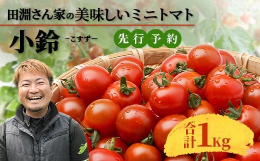 【先行予約】田淵さんちの美味しい ミニトマト 小鈴(約1kg)GP-708|野菜 トマト ミニトマト 産地直送 ミニトマト 新鮮 トマト 南大隅町産 ミニトマト おいしい ミニトマト鹿児島県南大隅町