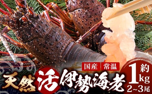 yʌEs\z VR  ɐCV __1kg 2`3^^ 2025N11{蔭AB-501 bY  CZGr ɐGr 퉷 Yn VR N VR  