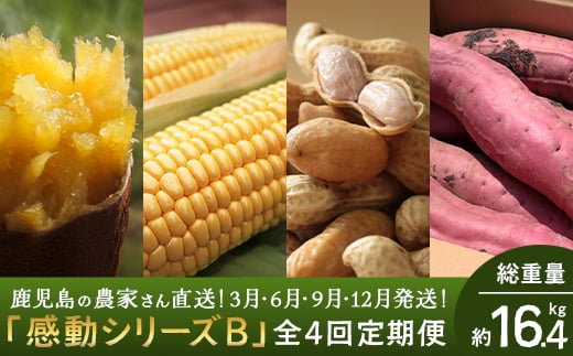 【定期便・年4回】農家の感動シリーズB (約16.4kg) FR-306|冷凍焼き芋 ゴールドラッシュ 塩茹で落花生 紅はるか 野菜定期便鹿児島県南大隅町48000野菜・きのこじゃがいも・イモ類