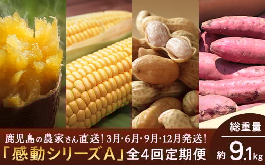yցEN4z_Ƃ̊V[YA(9.1kg) FR-305bⓀĂ S[hbV 䥂ŗԐ g͂邩 ؒ֎33000؁ÊႪEC