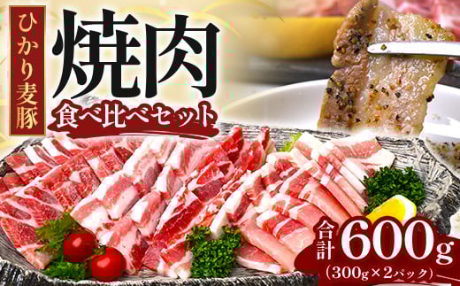 Y Ђ蔞 ē Hה Zbg 600gi300g×2pbNj{ y̑eт傤 HM-703 |   ɂ ؓ [X [X o XCX e҂ RVE Ⓚ ^Ⓚ Y