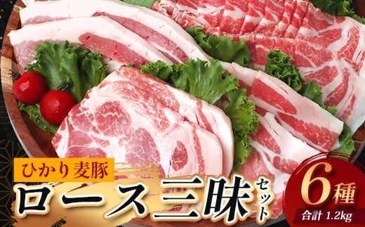 Y Ђ蔞 [XOZbg6 i200g×6pbNjv1.2kg g[Ȃ Ⓚ HM-12 |    ɂ ؓ [X [X [X ^Ⓚ VN  Yn  