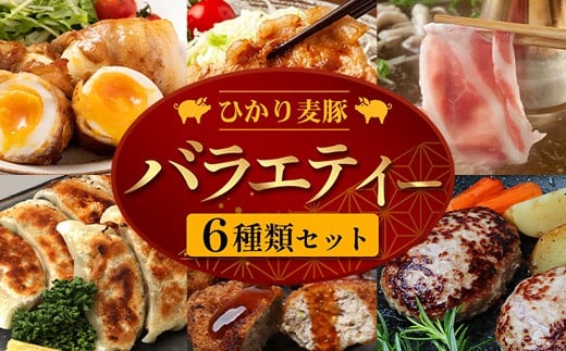 鹿児島県産 ☆\\ ひかり麦豚 バラエティーセット //☆ しゃぶ肉/ロース肉/バラ肉/ハンバーグ/メンチカツ/餃子 HM-13 | 肉 お肉 にく 豚肉 ロース 衣付き 真空冷凍 新鮮 小分け 産地直送 鹿