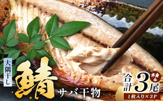 鹿児島県産 サバ 干物 (半身分1枚入り)×3パック ≪合計3枚≫ PT-4 | 開き 大隅干し 冷凍 国産 鯖 ごまさば ひもの  魚 さかな 海鮮 新鮮 瞬間冷凍 産地直送 加工品 朝ご飯 おかず グルメ 鹿児島