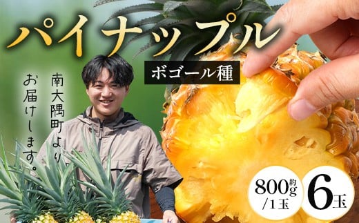 【先行受付】パイナップル/ボゴール種 (約800g×6玉) ≪2026年7月下旬以降順次発送≫ DS-1 |パイン パイナップル パインアップル フルーツ ボゴールパイン スナックパイン 産地直送  鹿児島県