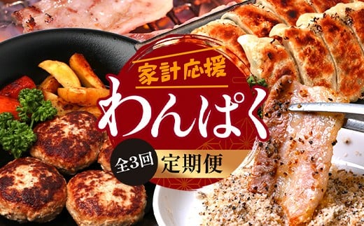 【定期便全3回】ひかり麦豚 わんぱく定期便 ≪月替わりで焼肉・ハンバーグ・餃子をお届け!≫ 冷凍 HM-10 | 肉 お肉 にく 豚肉 焼き肉 ロース肉 肩ロース バラ肉 ハンバーグ ギョウザ ぎょう