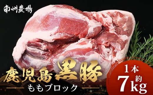 【南大隅町限定】かごしま黒豚 ももブロック(約7.0kg)NS-5 | 肉 豚肉 ぶた 豚 ブタ 黒豚 かごしま黒豚 もも肉 モモ肉 ももブロック 赤身 新鮮 産地直送 限定 大容量 鹿児島県 南大隅町 南州農
