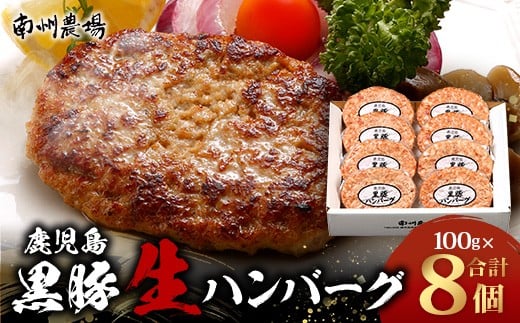 鹿児島県産 黒豚生ハンバーグセット(8個入)冷凍 NS-12 ? 肉 お肉 豚肉 豚 にく ぶた かごしま黒豚 ハンバーグ おかず ジューシー 小分け ギフト おかず お弁当 国産 鹿児島県 南大隅町 南州