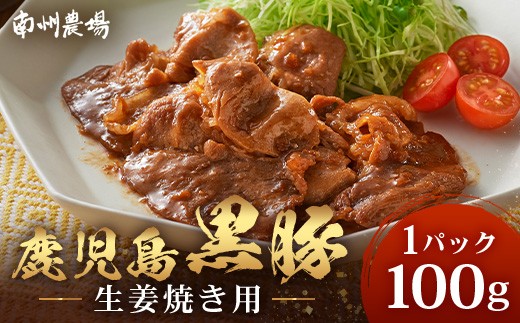 鹿児島県産 黒豚生姜焼きセット 100g 味付き肉 冷凍 NS-20 | 鹿児島 黒豚 かごしま黒豚 お味見 お試し お一人様用 お肉 肉 豚肉 しょうが焼き 焼くだけ 味付き おかず お弁当 加工肉 真空パック
