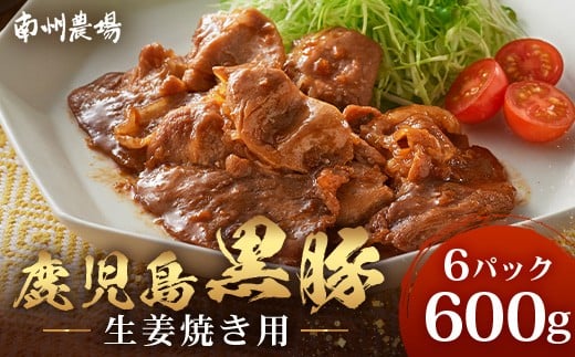鹿児島県産 黒豚生姜焼きセット 100g×6パック 味付き肉 冷凍 NS-22 | 鹿児島 黒豚 かごしま黒豚 お肉 肉 豚肉 しょうが焼き 焼くだけ 味付き おかず お弁当 加工肉 真空パック 鹿児島県 南大隅